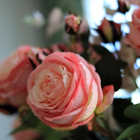 Wave3 - Monte Cassino By Oneapartments * ソポト